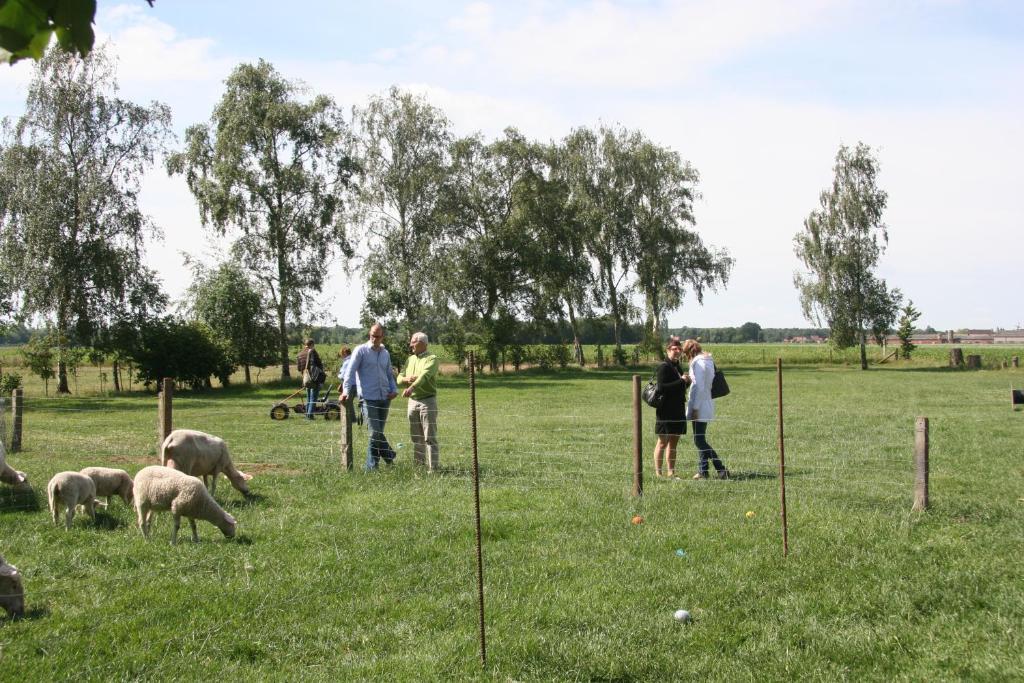 B&B Artiriacumhoeve Zedelgem Buitenkant foto